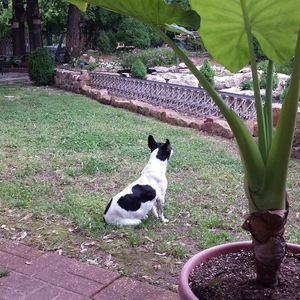 Meet your Posher, Sheila